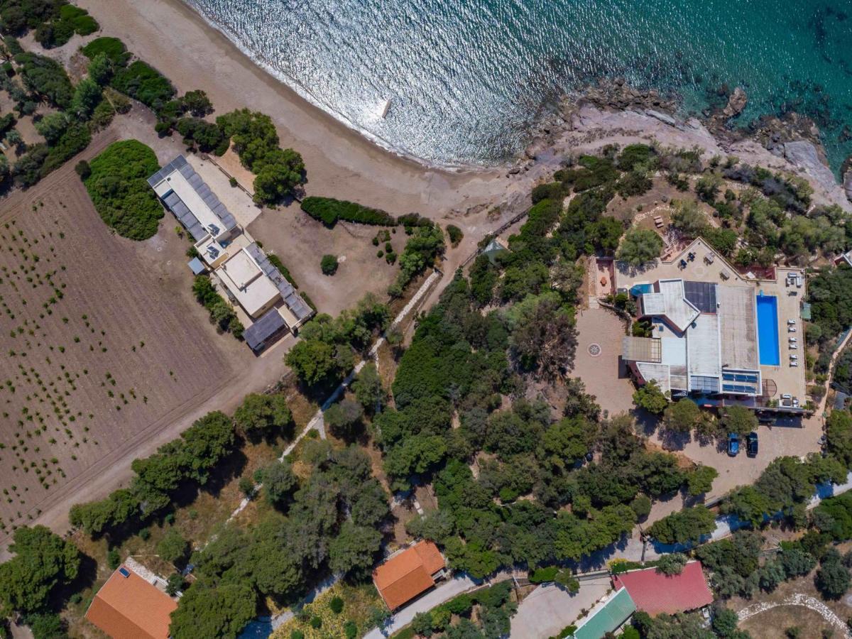 סוניו Black Diamond Beachfront Pool Villa Pasithea In Sounio, Athens מראה חיצוני תמונה
