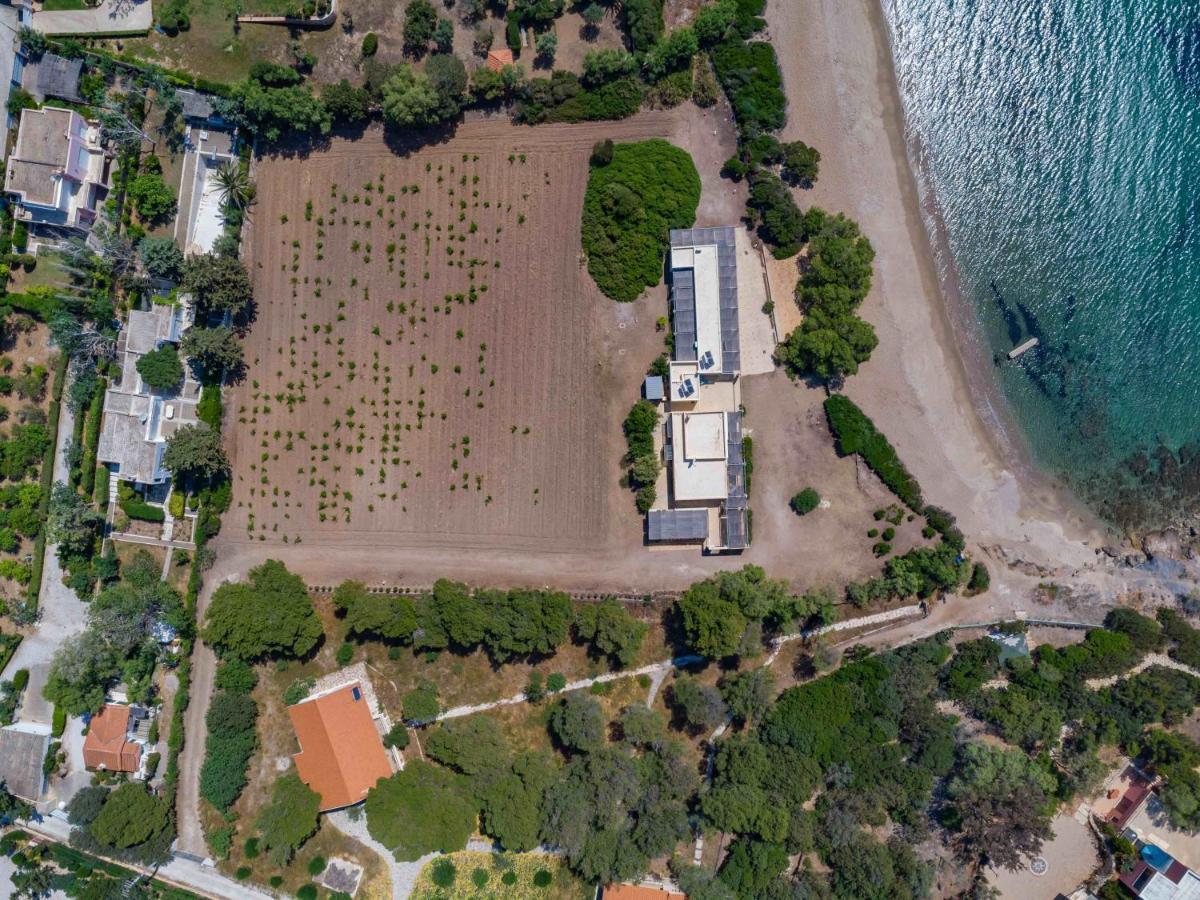 סוניו Black Diamond Beachfront Pool Villa Pasithea In Sounio, Athens מראה חיצוני תמונה