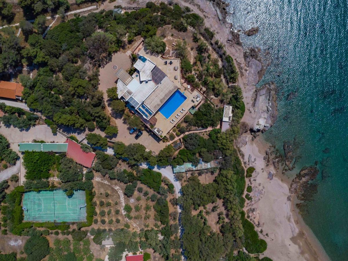סוניו Black Diamond Beachfront Pool Villa Pasithea In Sounio, Athens מראה חיצוני תמונה