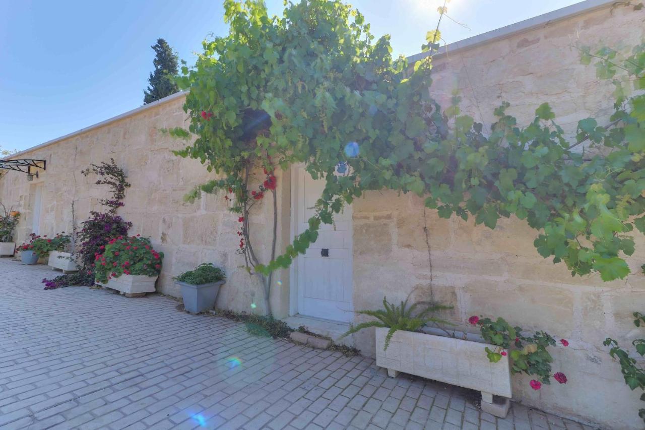 סוניו Black Diamond Beachfront Pool Villa Pasithea In Sounio, Athens מראה חיצוני תמונה